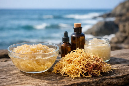 Wildcrafted Sea Moss Meaning, Explained