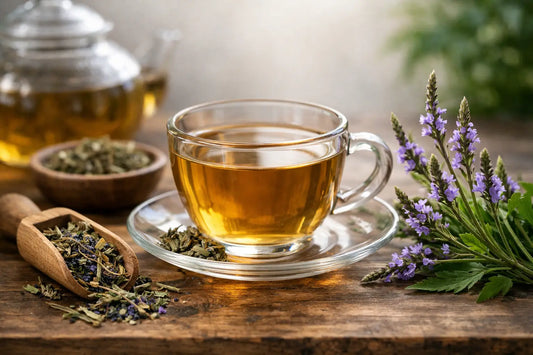 Blue Vervain Tea Benefits Worth Knowing