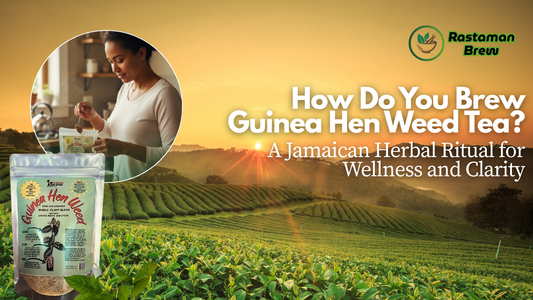 How Do You Brew Guinea Hen Weed Tea? A Jamaican Herbal Ritual for Wellness and Clarity
