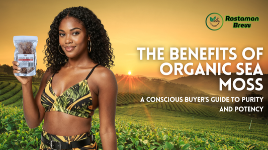 Person holding a package of Jamaican sea moss in front of a scenic sunrise landscape, promoting the benefits of organic sea moss for purity and wellness.