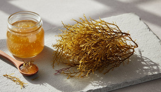 What Is Sea Moss? A Beginner's Guide to This Ocean Superfood