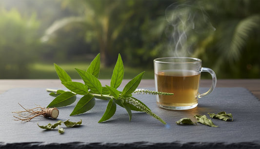 Guinea Hen Weed: The Complete Guide to Benefits, Uses & Safety