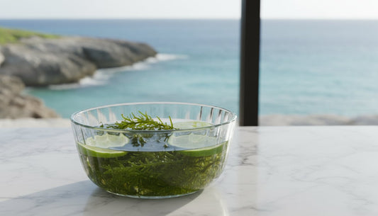 Sea Moss: The Mineral-Rich Ritual for Ancient Roots and Modern Wellness