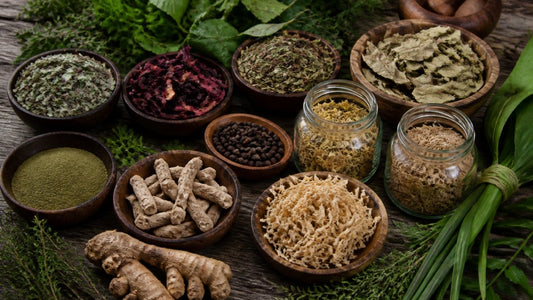 Authentic Jamaican Herbs for Wellness: 7 Essential Picks