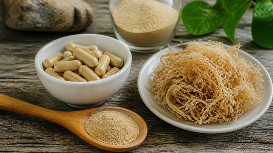 Best Sea Moss Supplement for Beginners: A 2026 Guide