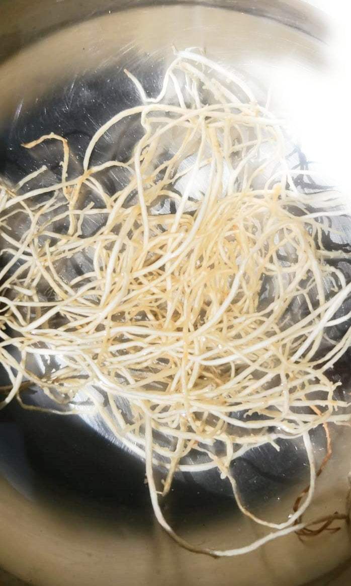 Jamaican Sea Moss Powder 8oz in a metal bowl, showcasing raw dried sea moss strands.