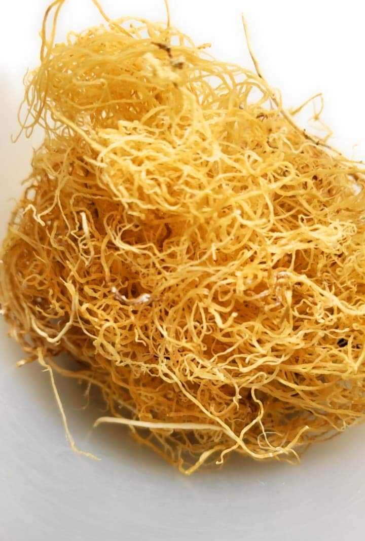 Raw wildcrafted Jamaican sea moss, nutritious superfood, sun-dried strands, 4 oz.