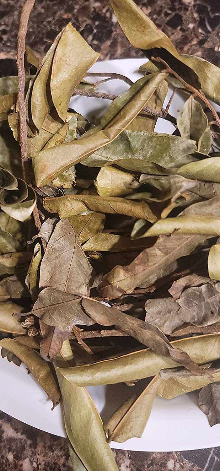 Dried soursop leaves for RastaMan Stew Grounded Soursop Leaf Tea Powder, organic and antioxidant-rich.