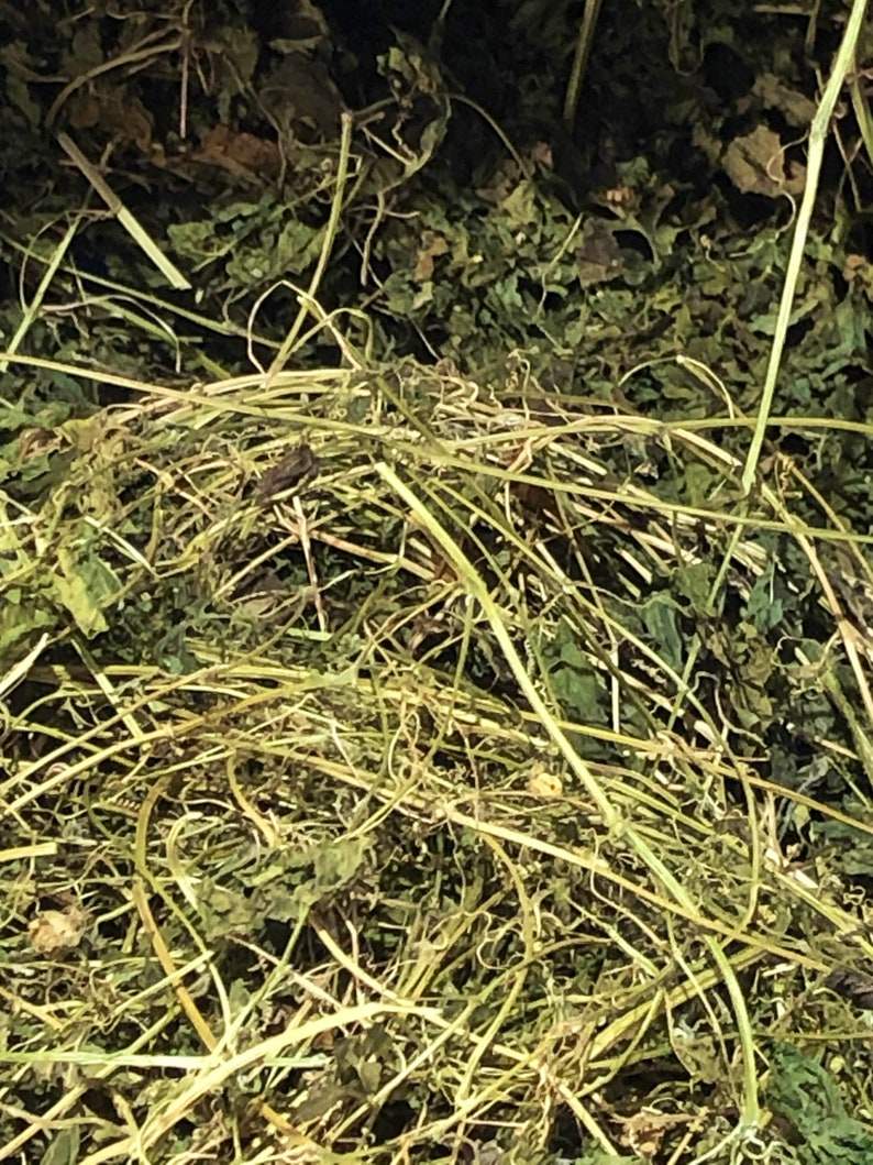 Dried Jamaican Cerasee tea leaves with bitter melon, 2oz from Rastaman Stew.