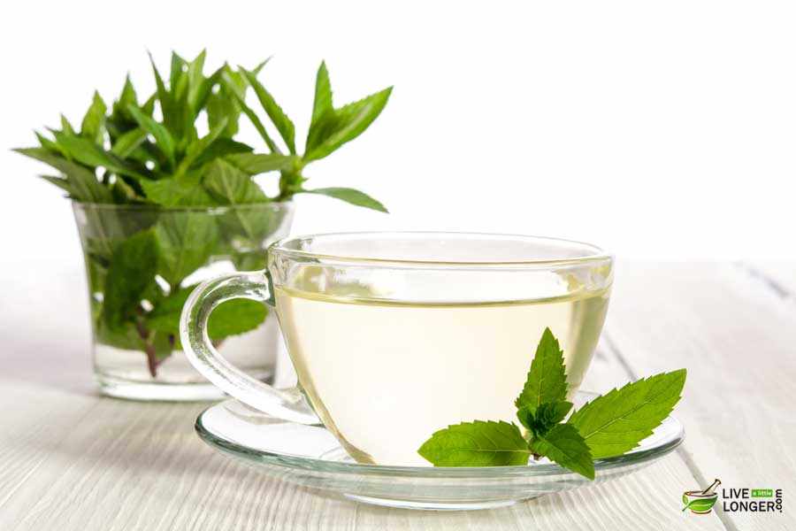 Shavuot Soursop Moringa Tea in a glass cup with fresh mint leaves.