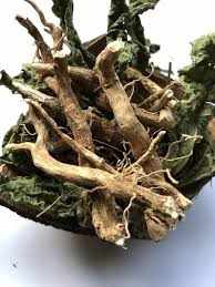 Guinea Hen Weed Tea Rastaman Stew Brand with roots, leaves, and stems.