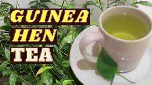 Guinea Hen Weed Tea in a white cup with green leaves, promoting Rastaman Stew Brand.