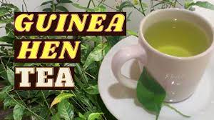 Guinea Hen Weed Tea Rastaman Stew Brand100% pure Guinea Hen weed, containing Roots, Leaves and Stems. Wild crafted and washed and dried, then grounded up and blended to make the most Potent blend of this Loose Leaf TeaRastaMan StewRastaman StewGuinea Hen Weed Tea Rastaman Stew Brand